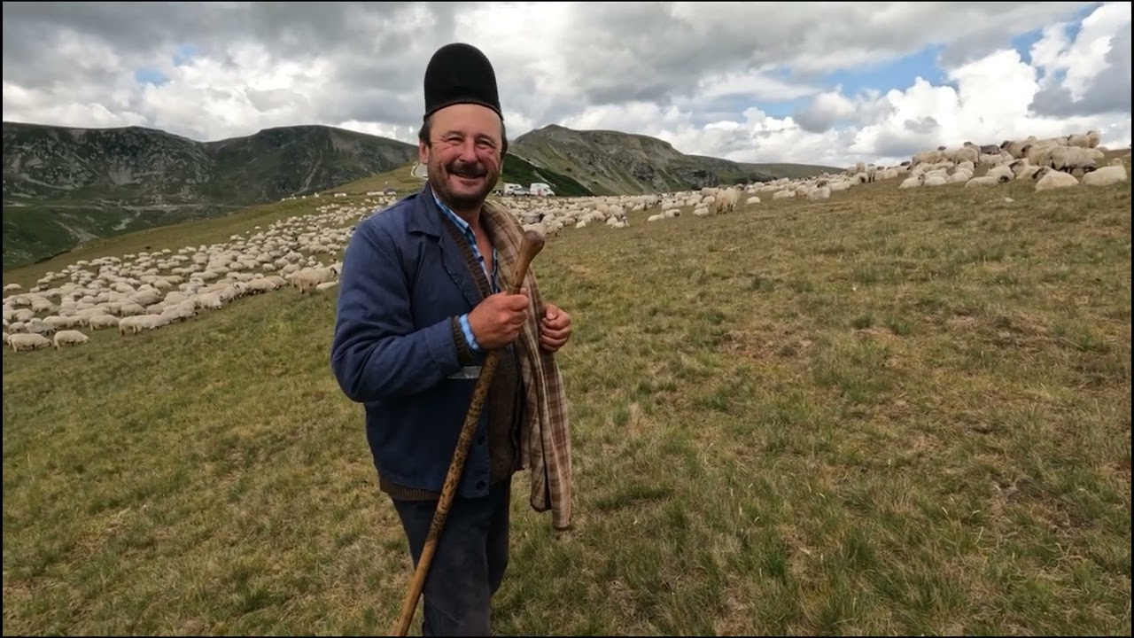 Cu 2700 oi &icirc;n Tranahumanta -Baciul Bebe din Novaci