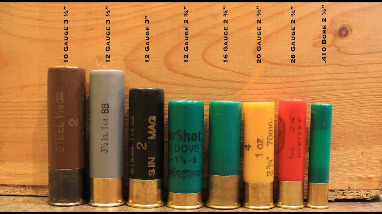 Shotgun Gauges: The Ultimate Guide To 12 Gauge, 16 Gauge, 20 Gauge, 28 Gauge, and 410 Bore Sizes