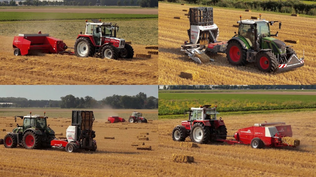 Kleine pakken persen & bundelen | Wildeboer Fourage | Steyr 8090 + Welger | Fendt 516 + Arcusin D14