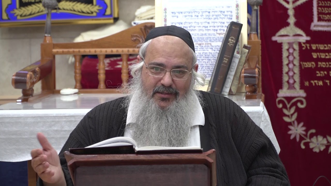 פנינים מפרשת תזריע - הרב שלמה לוינשטיין HD