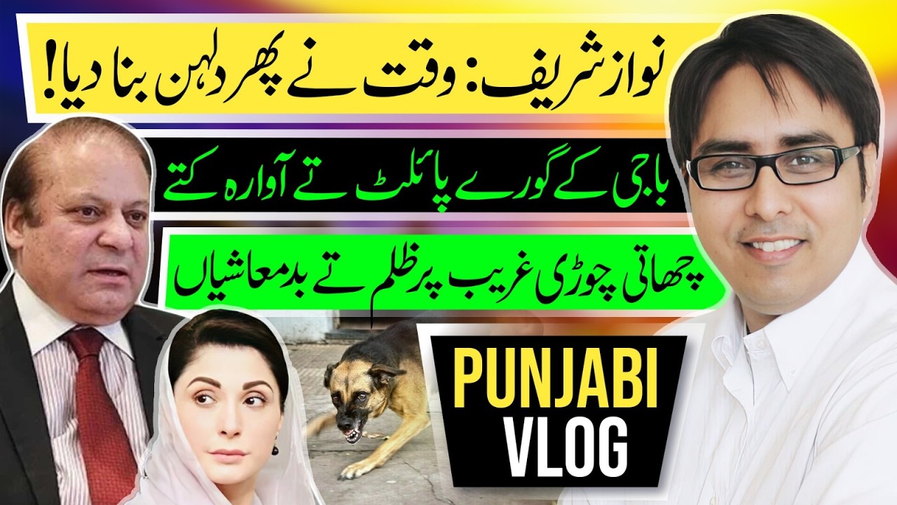 نواز شریف:وقت نے پھر دلہن بنا دیا - باجی کے گورے پائلٹ تے آوارہ کتے