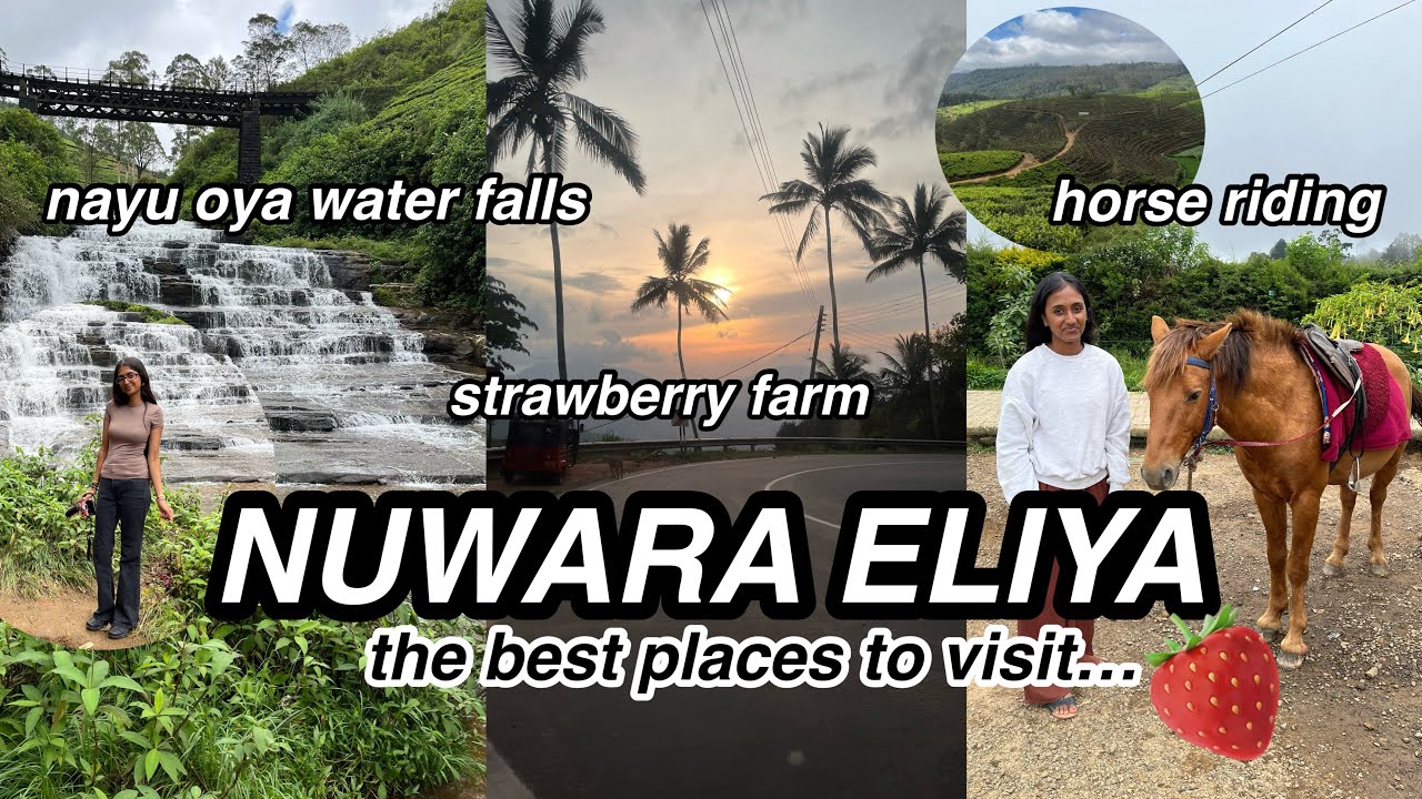 24 hours in NUWARA ELIYA.. strawberry farm, horse riding, nanu oya water falls!! | SRI LANKA