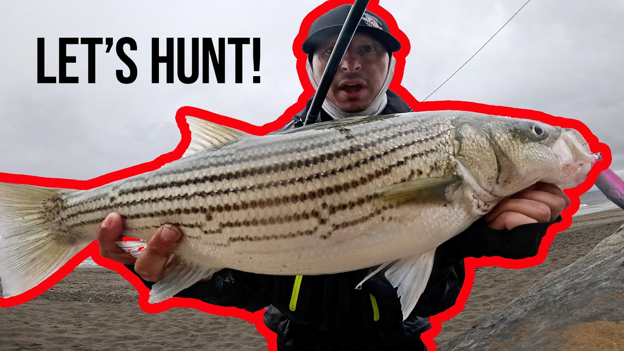 Striped Bass Jerkbait Fishing in San Francisco (CA Surf Fishing Tour) 5 DAYS! ft. @DieHardFishing