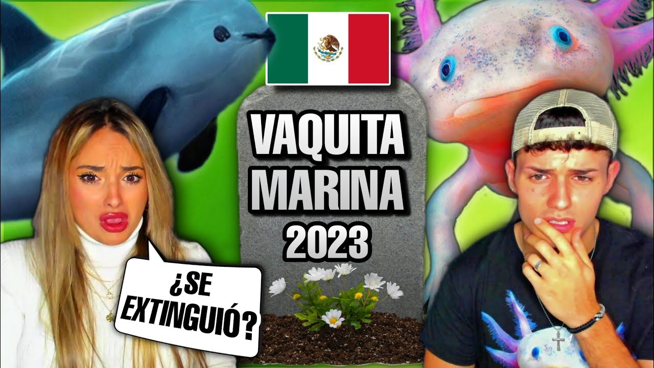 ESTOS ANIMALES solo EXISTEN en MÉXICO 🇲🇽 y VAN a DESAPARECER 😭 *REACCIÓN*