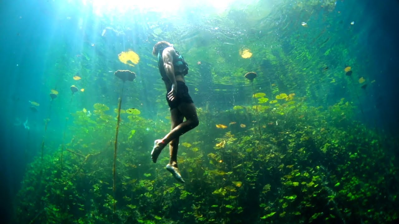 V.I.V.E. XENOTES | Tour de Aventura por Cenotes Naturales en Canc&uacute;n, M&eacute;xico