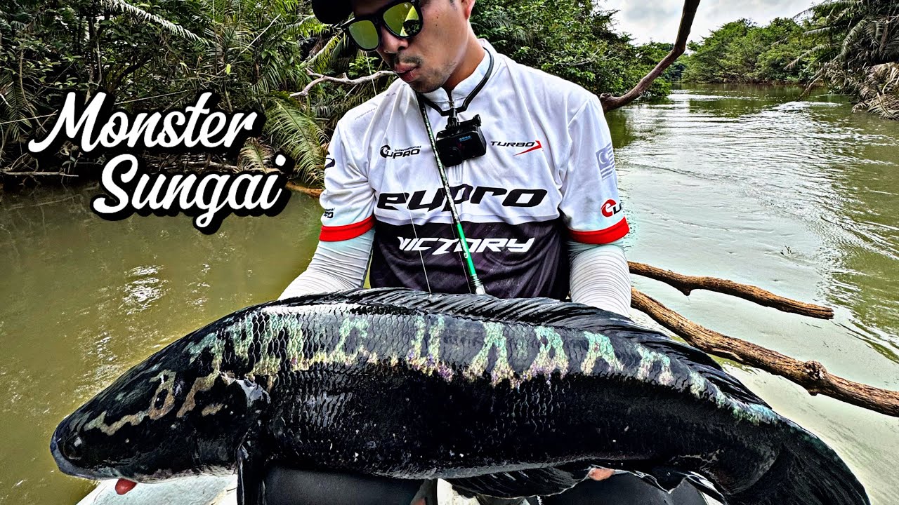 Strike Toman Monster Akhirnya