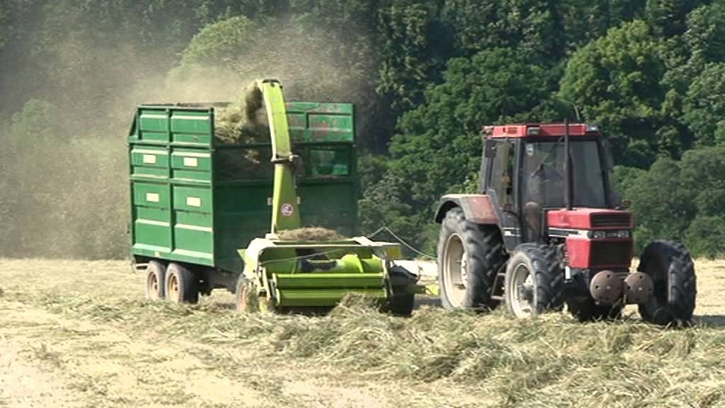 CLAAS forager 75 Barton grass team 1
