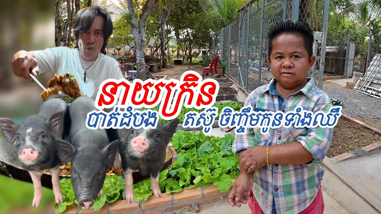 នាយក្រិន បាត់ដំបង តស៊ូចិញ្ចឹកមកូនទាំងឈឺ 