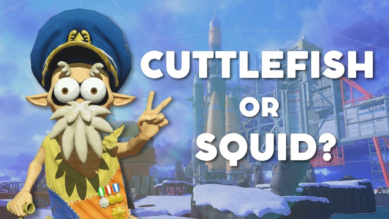 Is Captain Cuttlefish a cuttlefish or a squid? | Splatoon 3 Biology