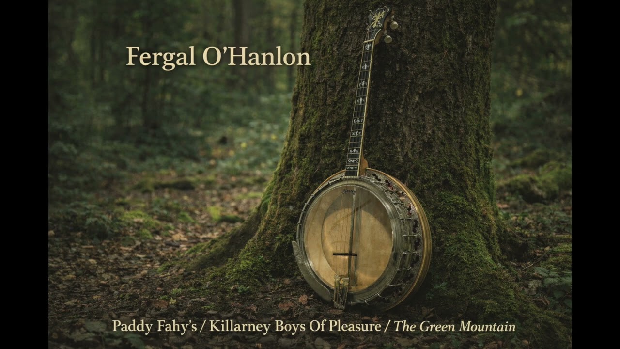 Paddy Fahy’s/Killarney Boys of Pleasure/The Green Mountain.  