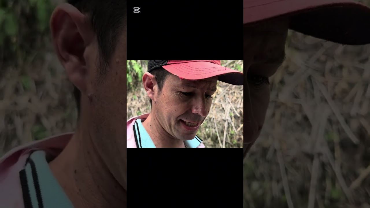 así es el diario, vivir de un campesino en Colombia