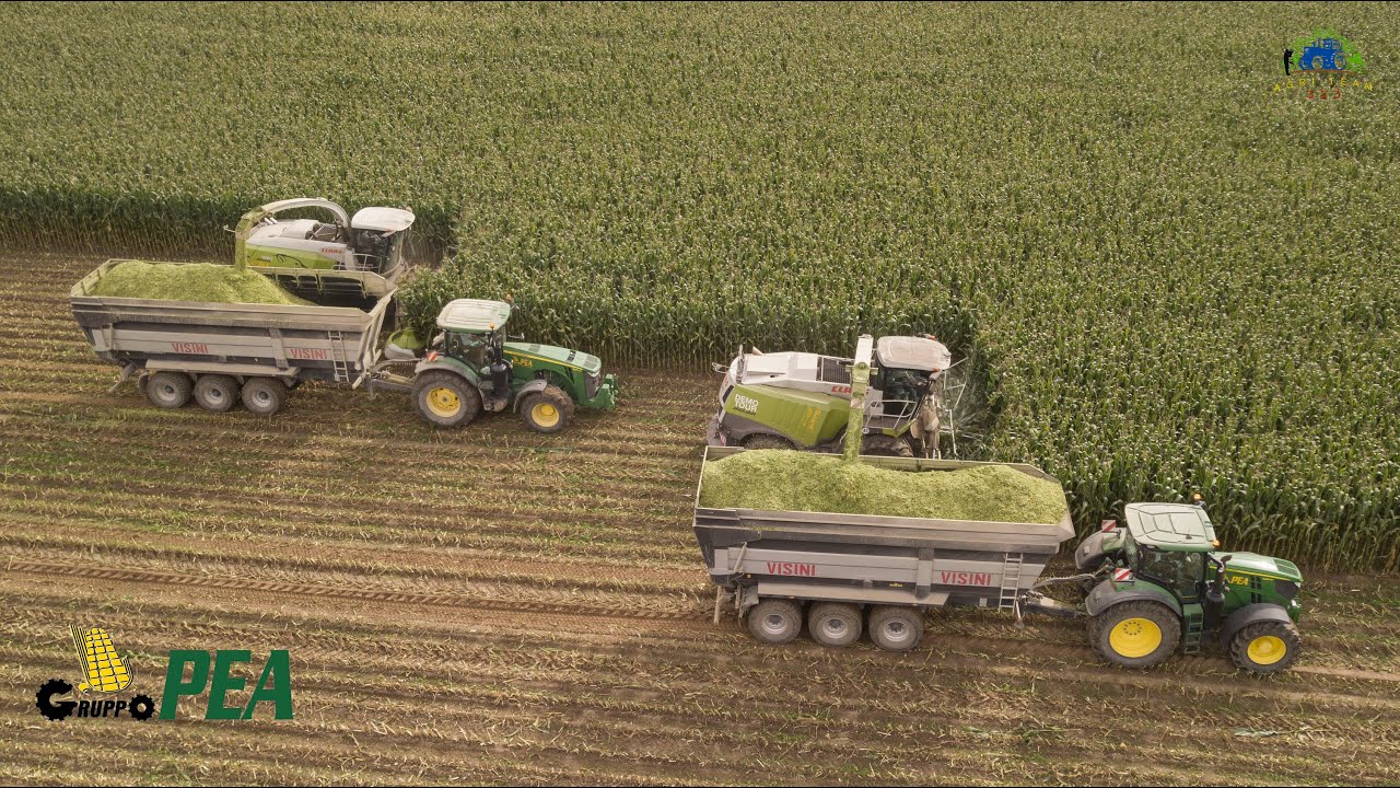 Trinciato Mais 2022 | Claas Jaguar DEMO TOUR & Claas Jaguar 990 type 502 | GRUPPO PEA
