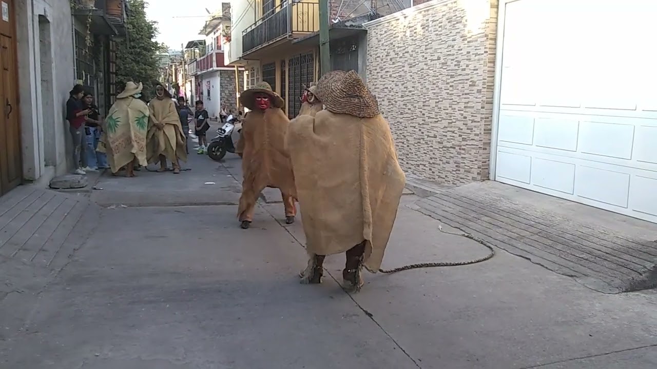 chirrionasos de los Tlacololeros de almolonga Guerrero en Tixtla 🤠👍🐯
