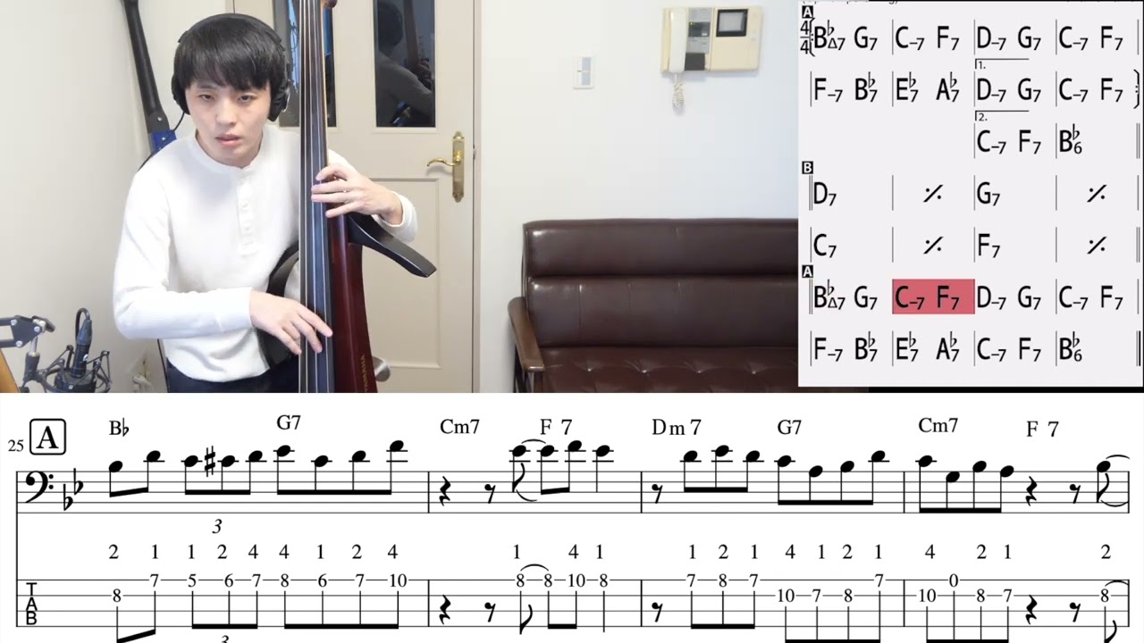 Anthlopology uplight bass theme