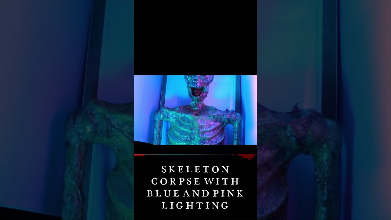SKELETON CORPSE WITH BLUE AND PINK LIGHTING #halloween