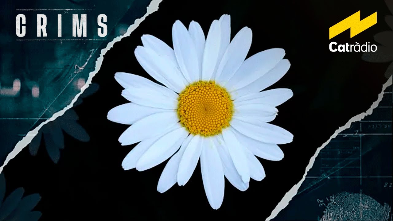 L'assassí de la flor, capítol 2