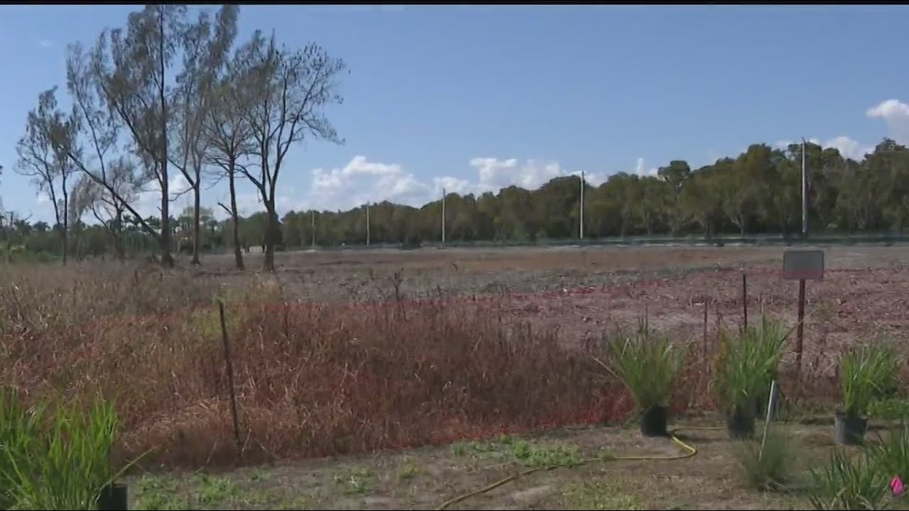 Town of Cutler Bay wants to preserve their green space from development