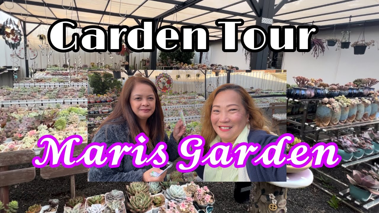 Garden Tour at Maris Garden/paGAME #gardentour #garden #succulentgarden