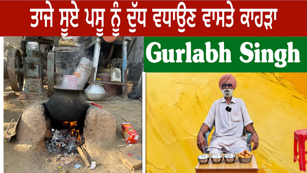 ਤਾਜੇ ਸੂਏ ਪਸੂ ਨੂੰ ਦੁੱਧ ਵਧਾਉਣ ਵਾਸਤੇ ਕਾਹੜਾ । #bathinda #pind #dairyfarm