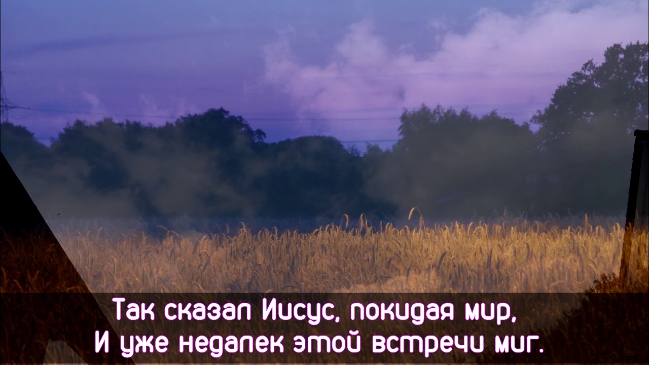 Это будет последним событием / Singeteam MBG Lemgo, 1995