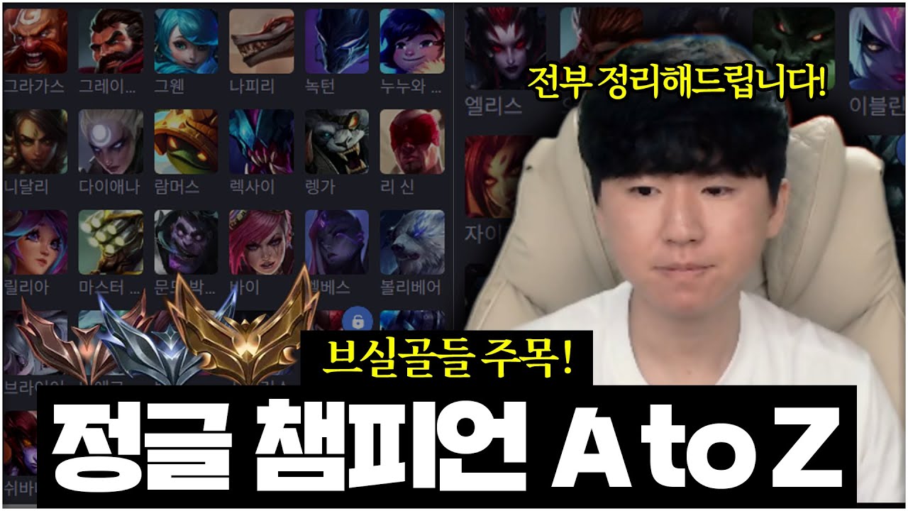 저티어들이 쓸만한 정글 챔프들 정리해봤습니다