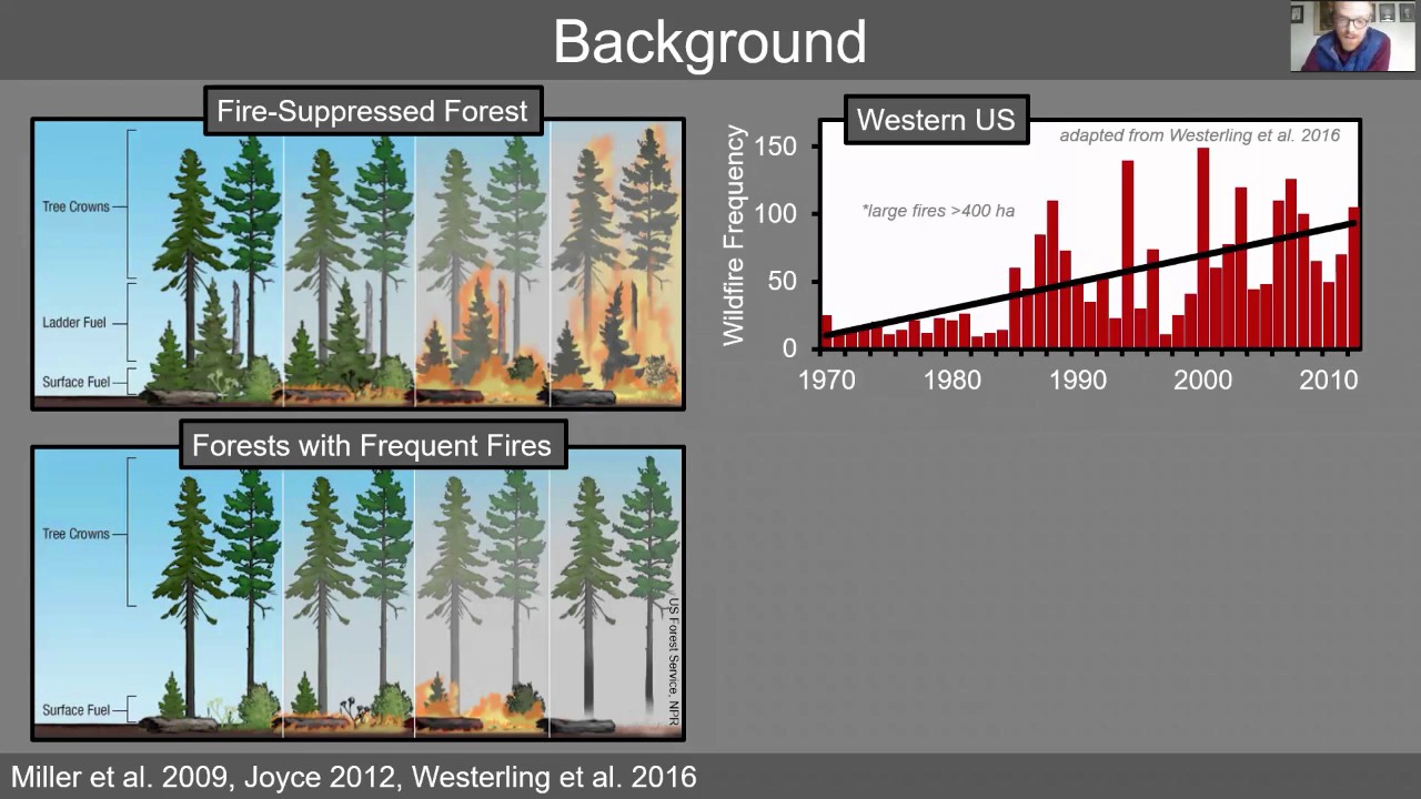 BALANCING FOREST ECOSYSTEM RESTORATION AND OLD-FOREST SPECIES CONSERVATION IN THE SIERRA NEVADA, CA