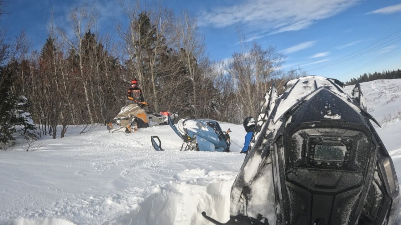 Ça s'envient !