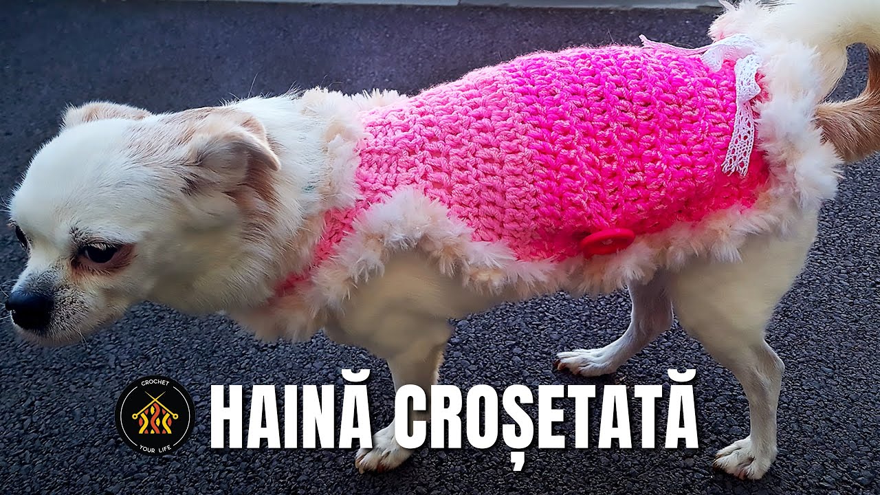 Cum crosetam haina pentru caine sau orice animal - hăinuța crosetata pentru catel