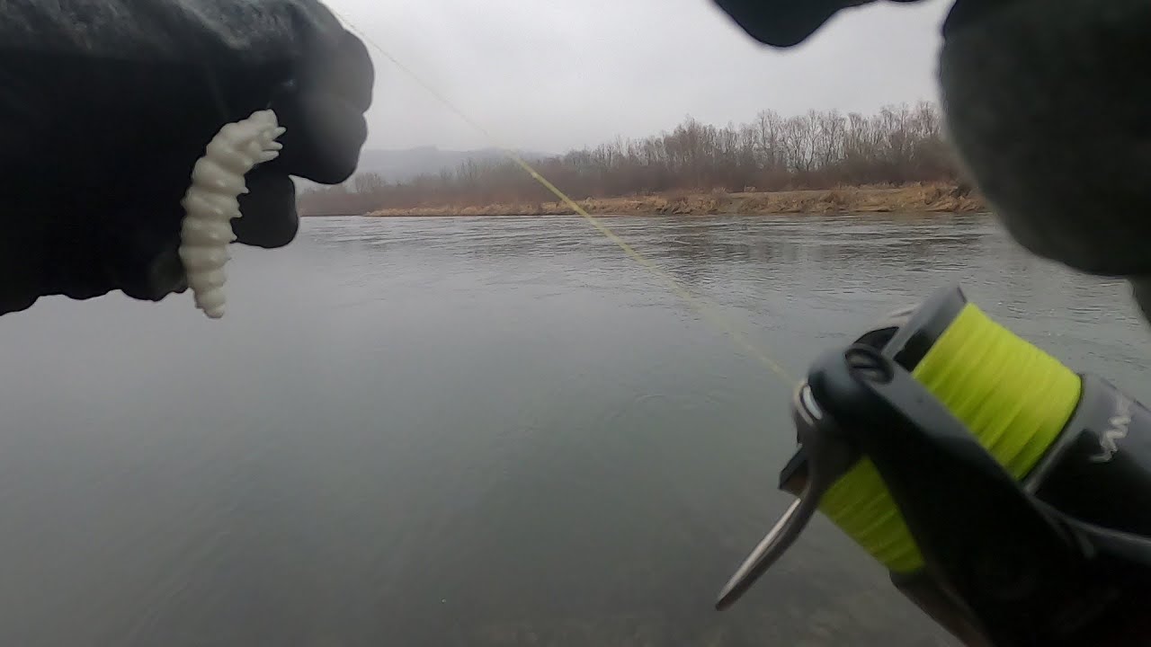 Grudniowe grube klenie na dużą larwę. Zimowy spinning