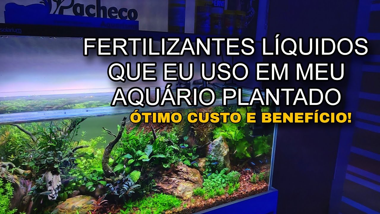 Fertilizantes que uso para manter meu aquário plantado lindo
