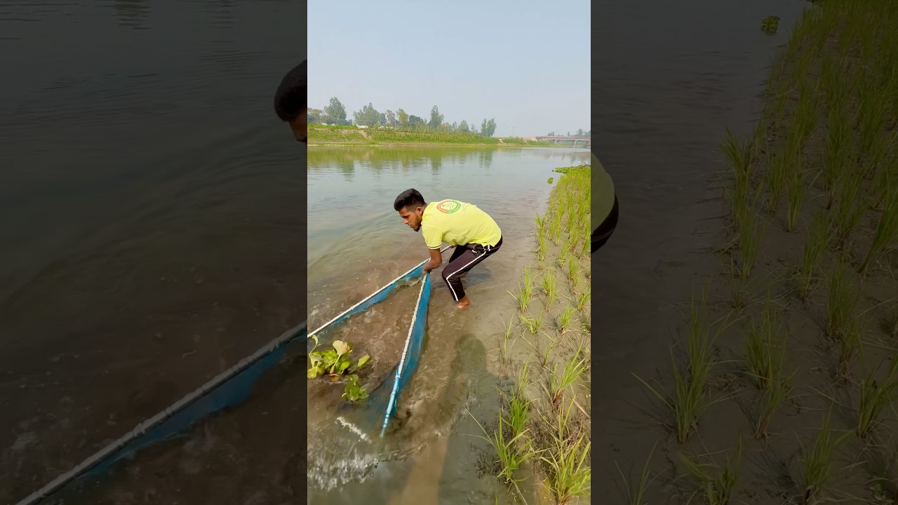 Ultimate Hand Net Fishing Adventure in Wild River #fishing