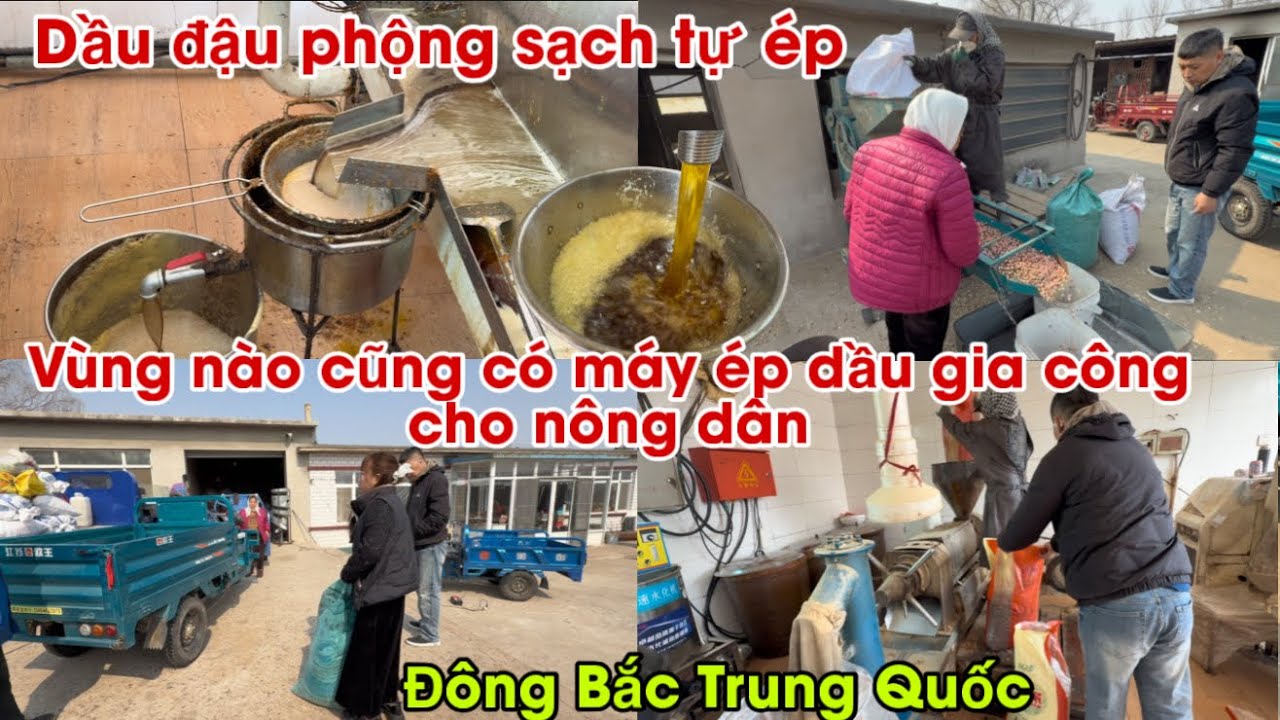 #799🇨🇳Chở Mẹ chồng đi ép dầu đậu phộng sạch tự gia công| người Việt Ở Nông Thôn đông Bắc Trung Quốc 