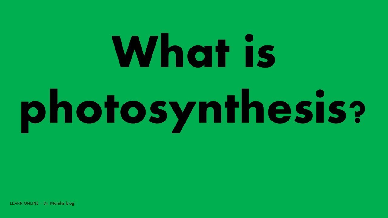 what is Photosynthesis?