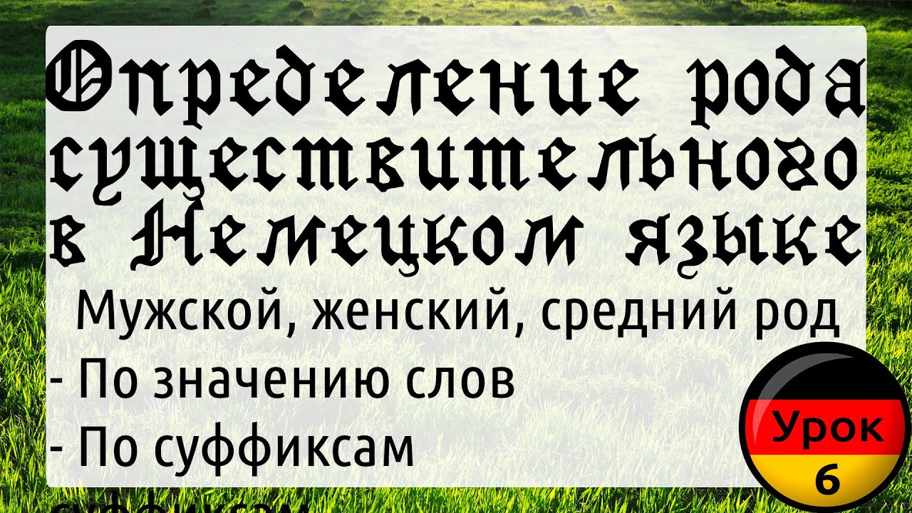 Урок 6 Как определить род существительного в Немецком языке. Разбираем на примерах. Немецкий с нуля!