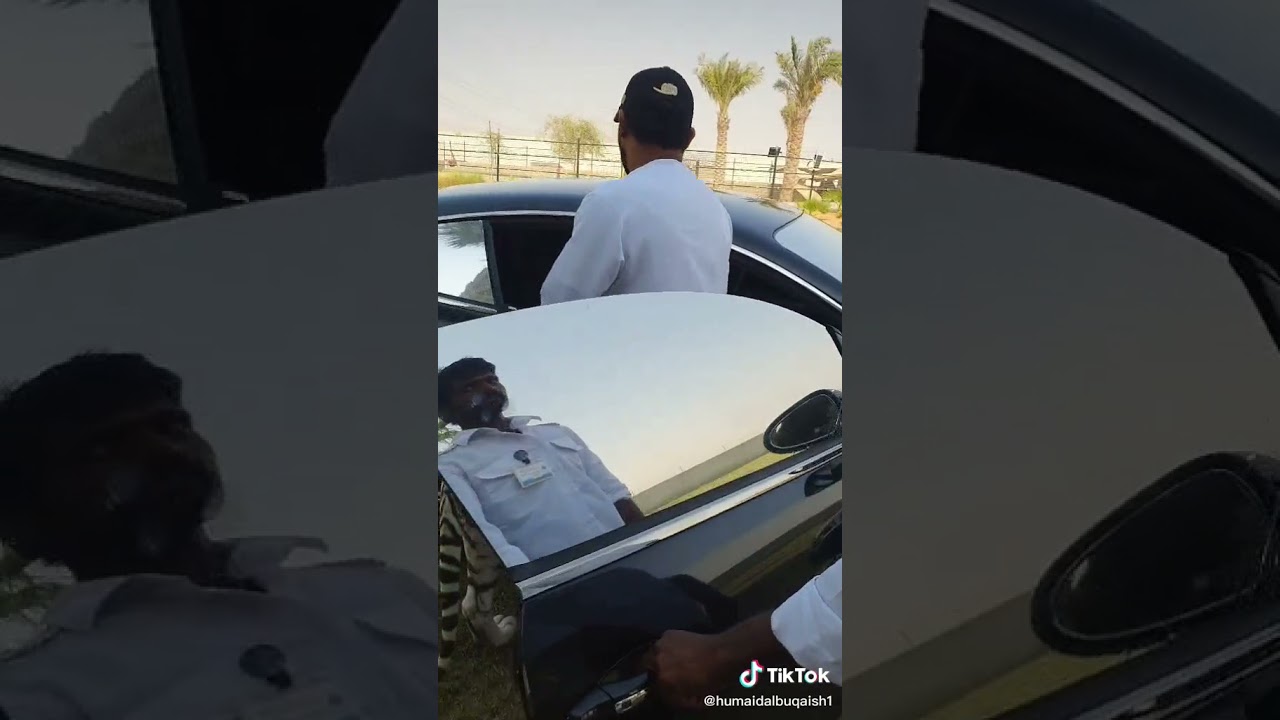 Beautiful lion of Dubai(1)