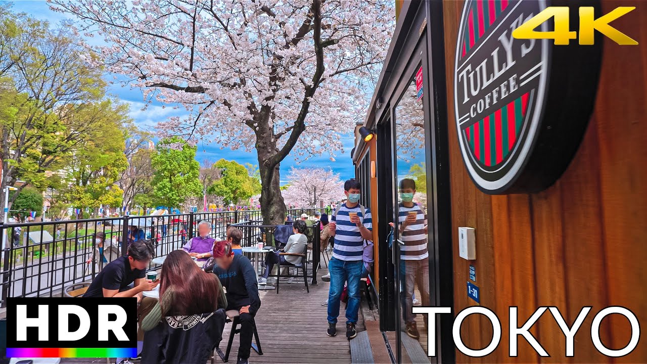 Downtown Tokyo Walk on a Lovely Spring Day 🌸 | Relaxing Ambience【4K HDR】