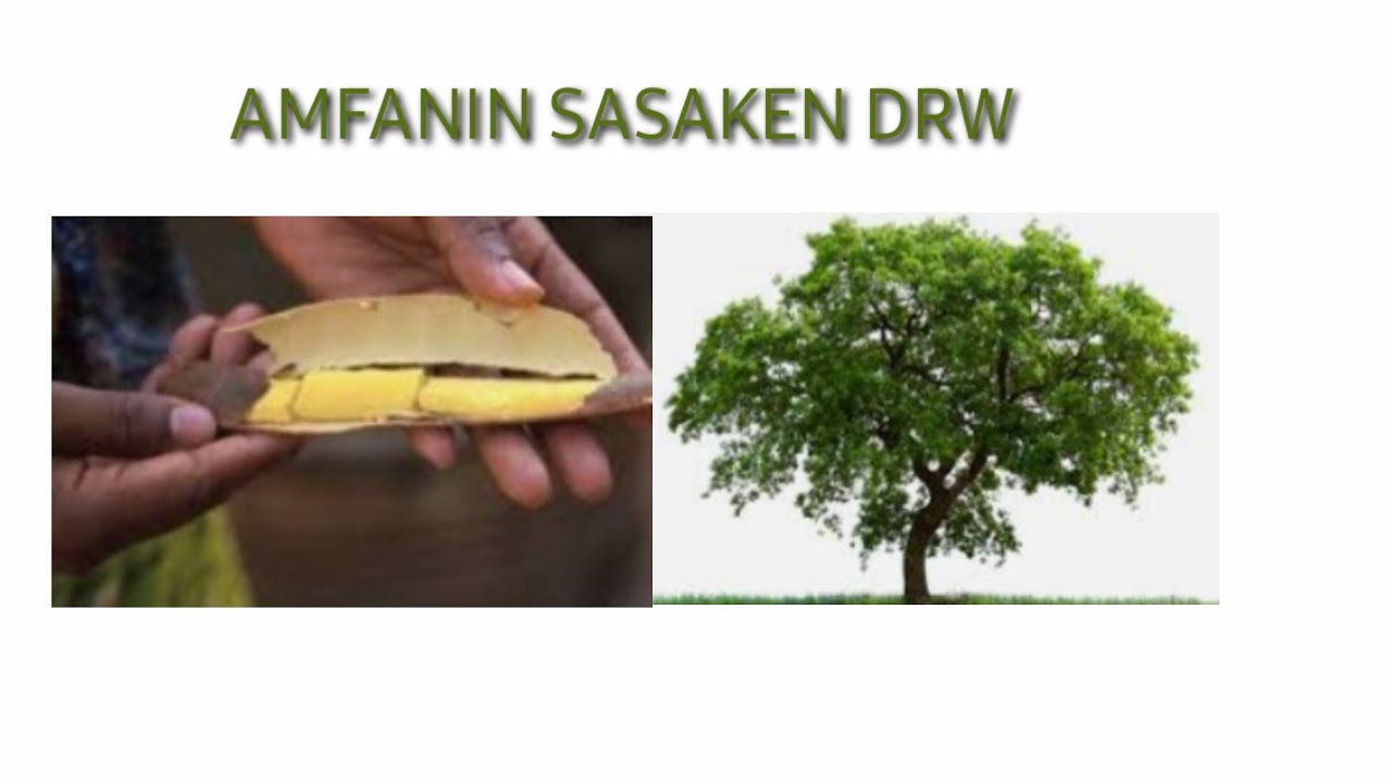 DA MAGANI A GONAR YARO#tilawatv #gidanmagani_herbal