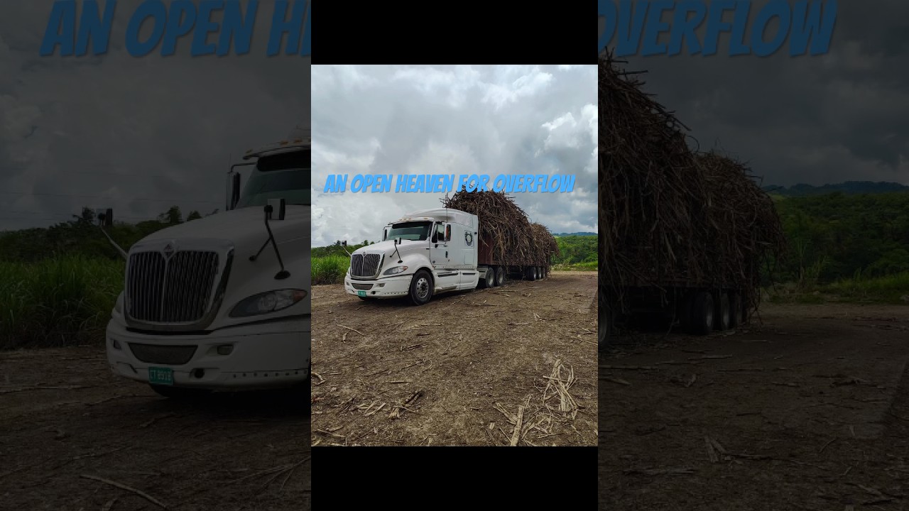 I declare in this NEW MONTH, the storehouses of Heaven are open and your harvest will overflow 🌊🍇