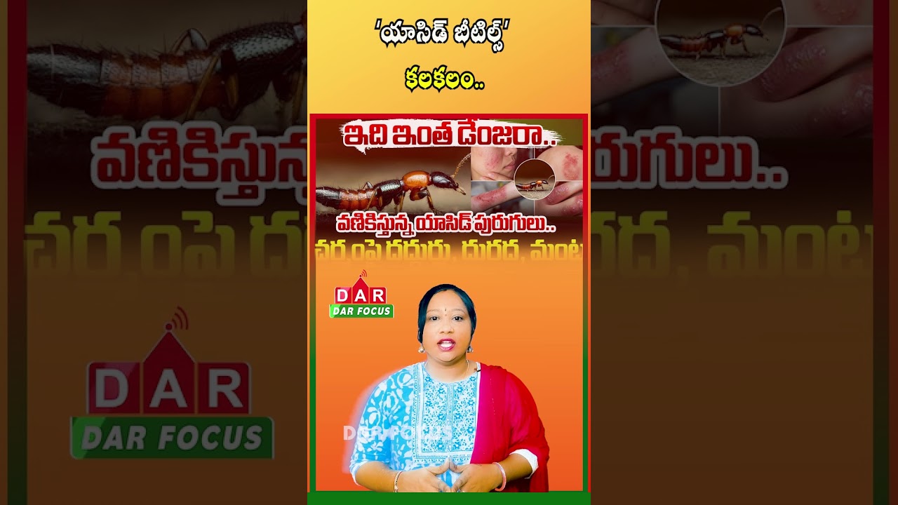 Acid Beetles Alert in East Godavari - Never Crush These Insects with Your Hands | DAR FOCUS