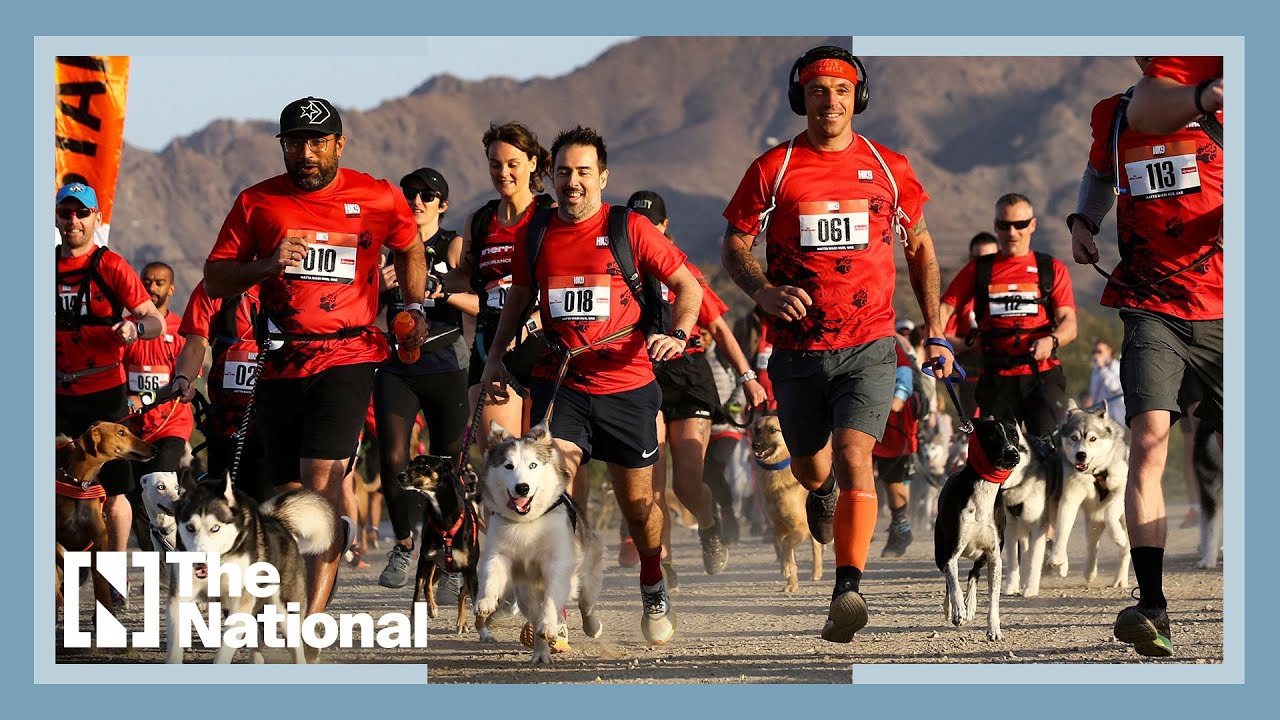 Run with your dog: this is the UAE's first Canicross race