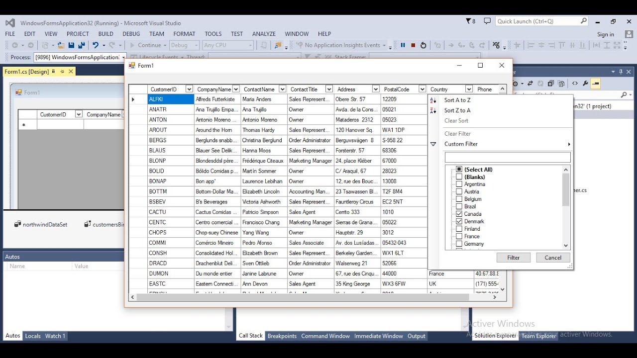 Advanced DatagridView filter - C#