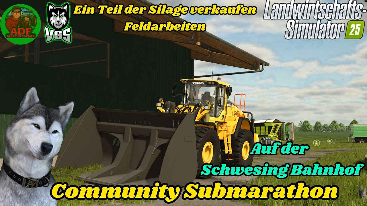 LS25 | Schwesing Bahnhof | Silage Verkaufen | Feldarbeiten | !mitspielen 🔴Live🔴
