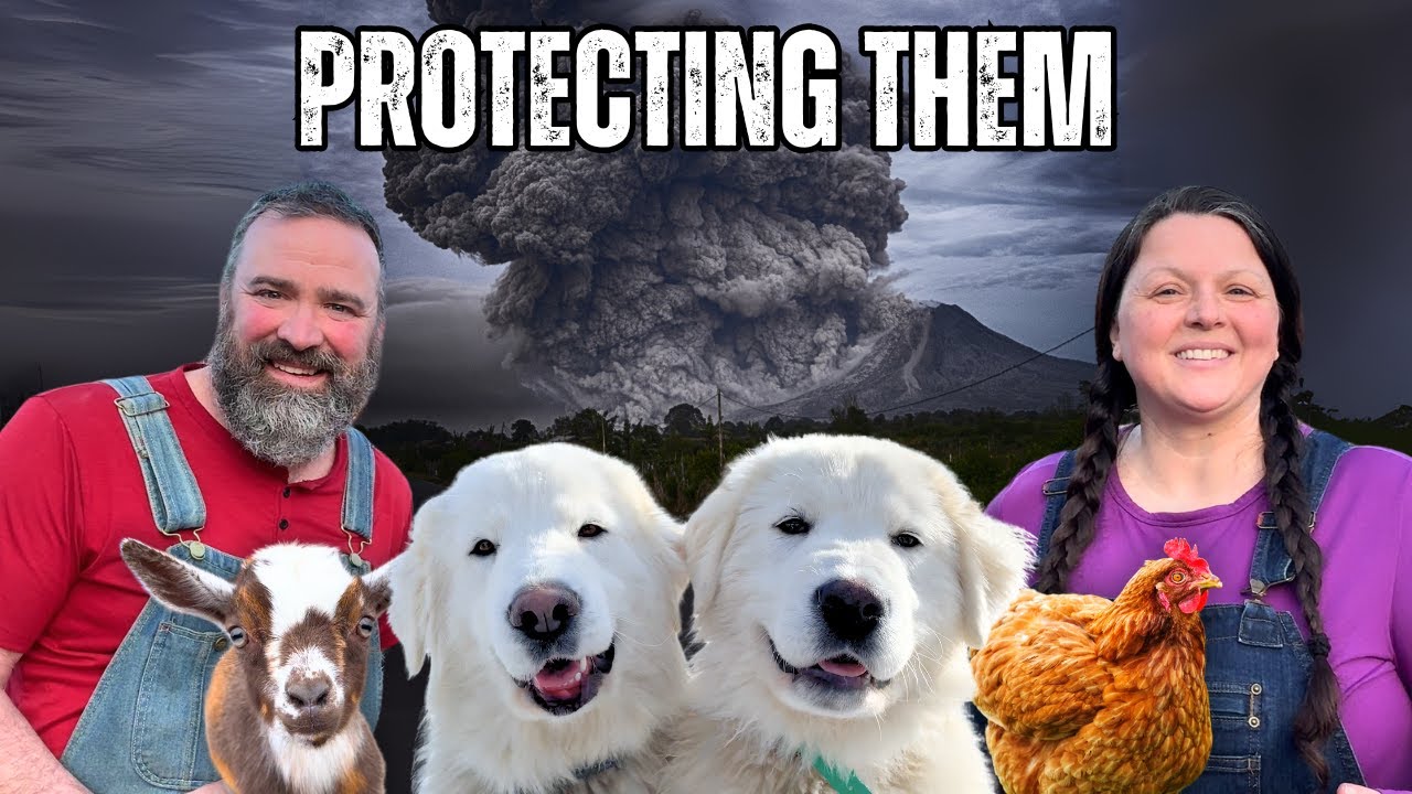 Volcanic Ash Cloud Threatens Our Alaska Homestead: Prepping for the Volcano Fallout