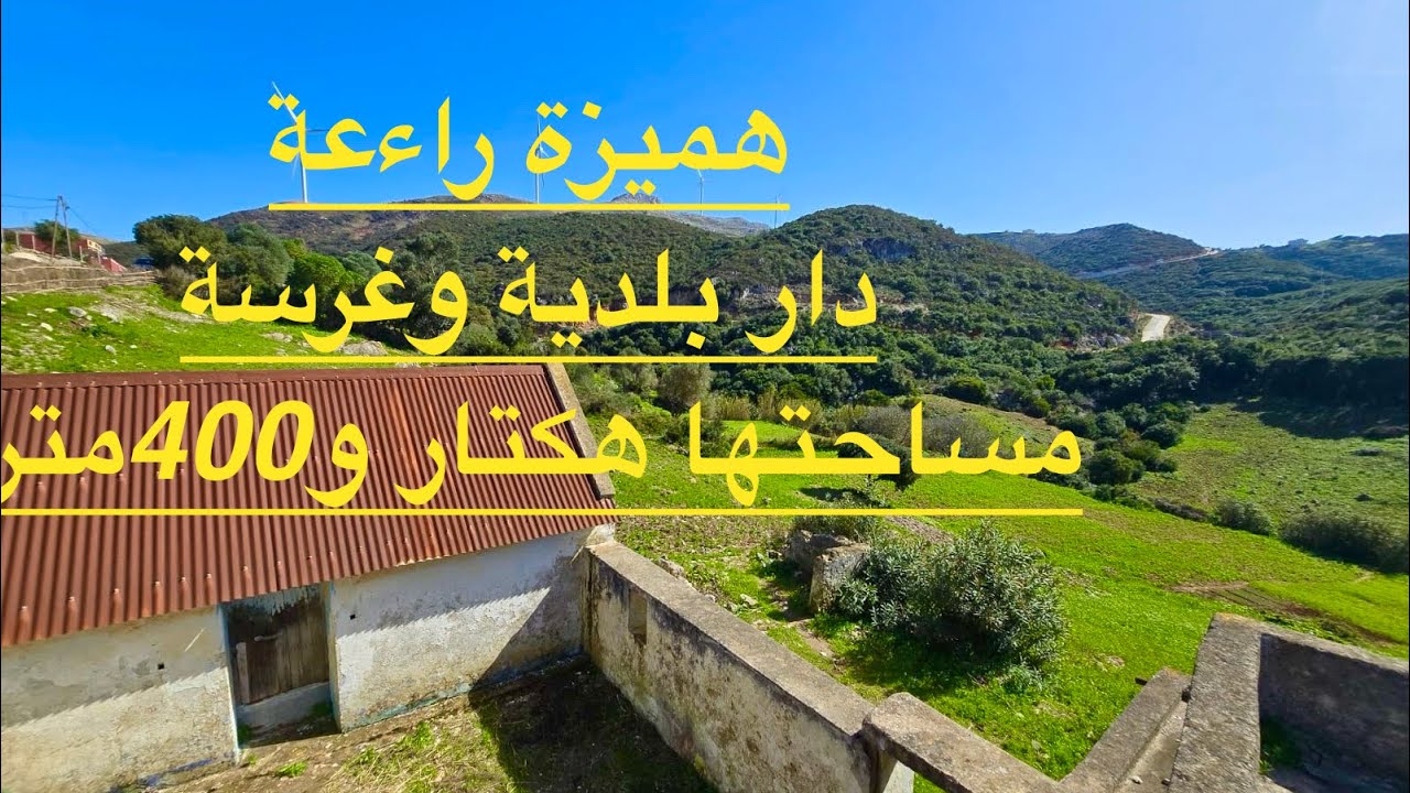 دار بلدية وغرسة كبيرة تبارك الله مساحة هكتار و 400متر مفججة0703640826 نواحي القصر الصغير طنجة 