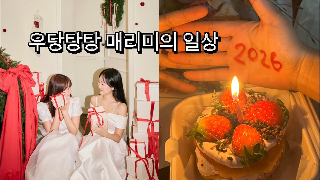 2025년 마지막 브이로그👋🏻 매미쨩 생일🥳🎂 크리스마스엔 혼술을&hellip;🎄🍻 #우당탕탕매리미의일상