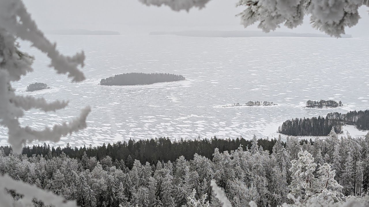 Walking in Finnish national park Koli