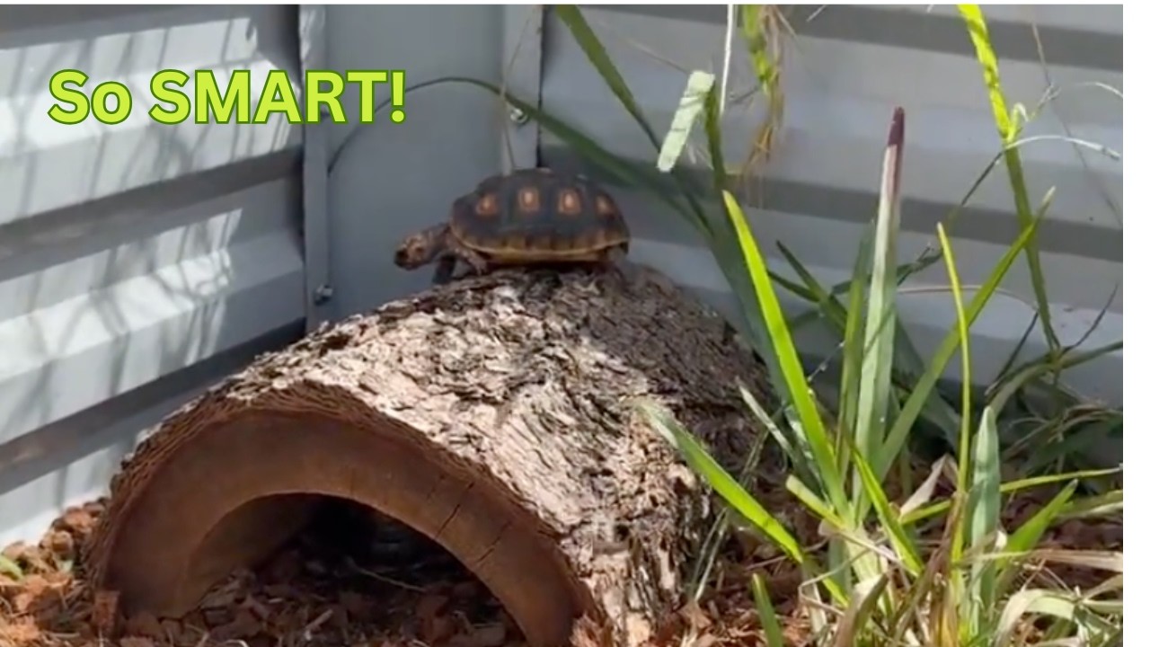 SMARTER THAN YOU THINK!