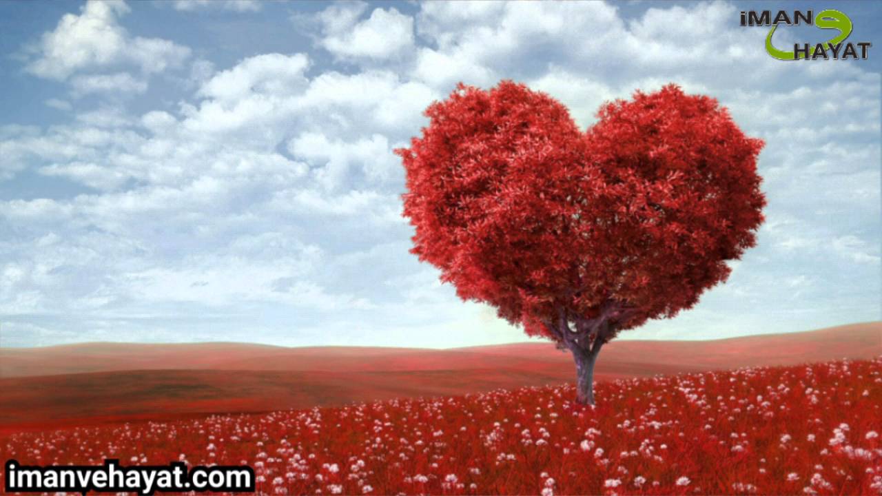 Allah Senin Dünyanda Nerede ! || Yusuf Yılmaz ||