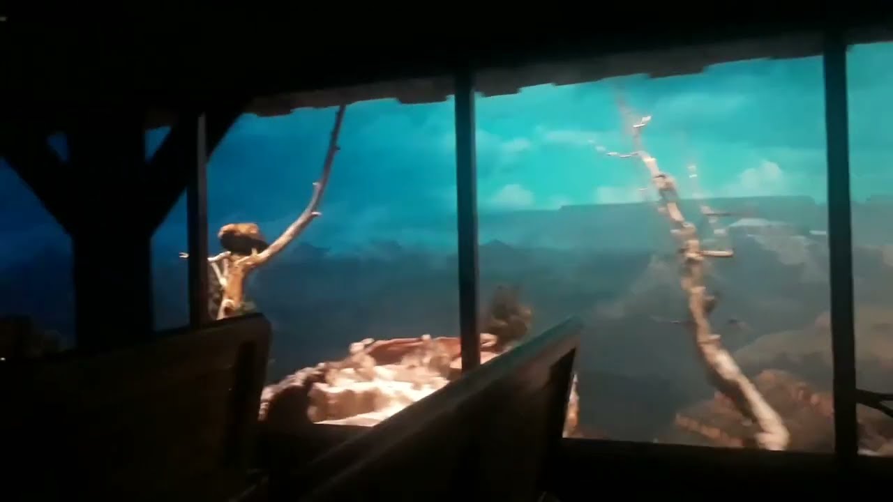 Disneyland Railroad Grand Circle Tour - 5/27/19