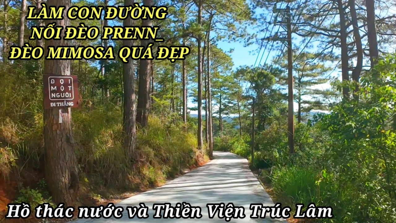 Làm con đường nối đèo Prenn và đèo Mimosa thật đẹp. Ghé thăm Thiền Viện Trúc Lâm